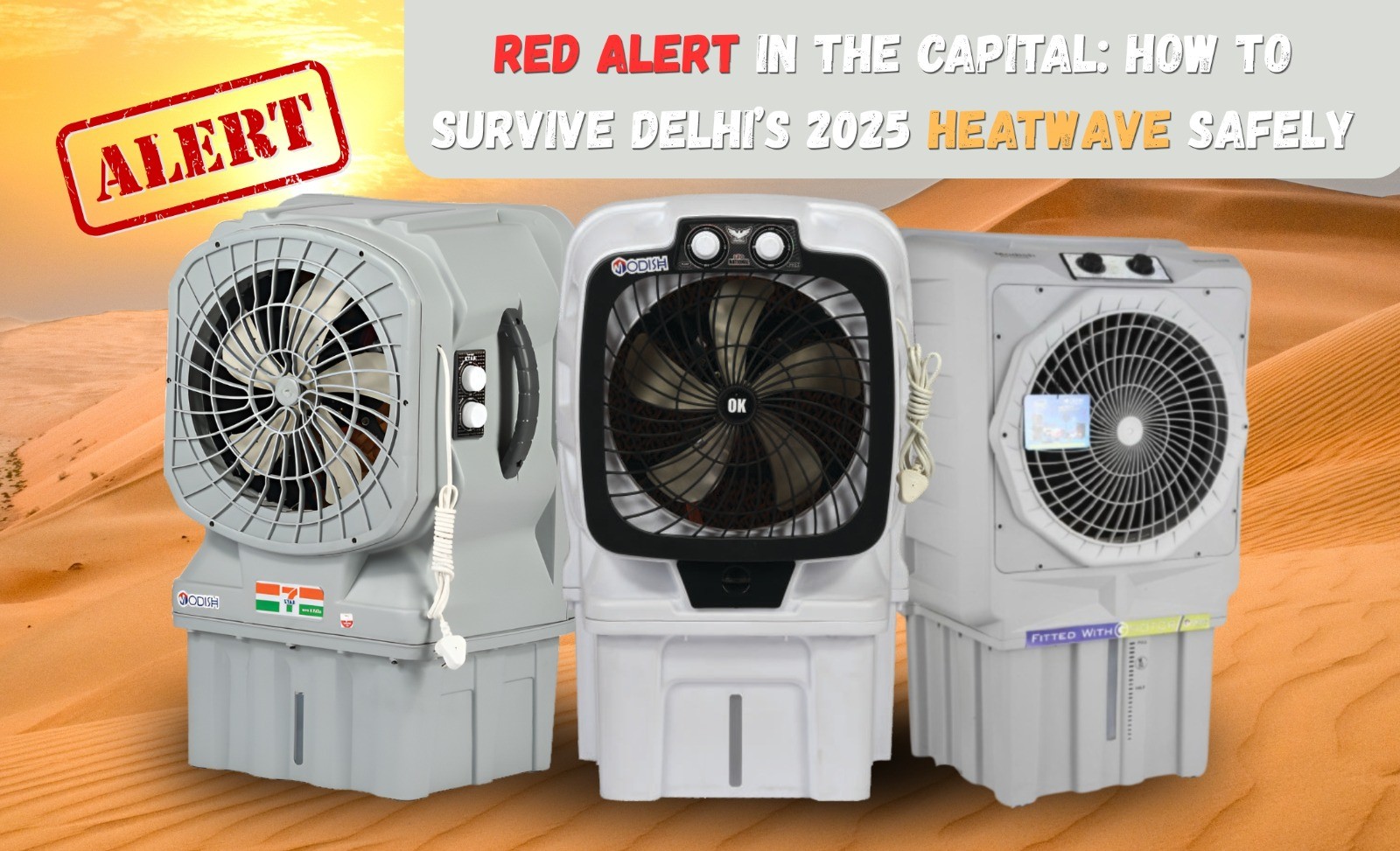 Red Alert in the Capital: How to Survive Delhi’s 2025 Heatwave Safely